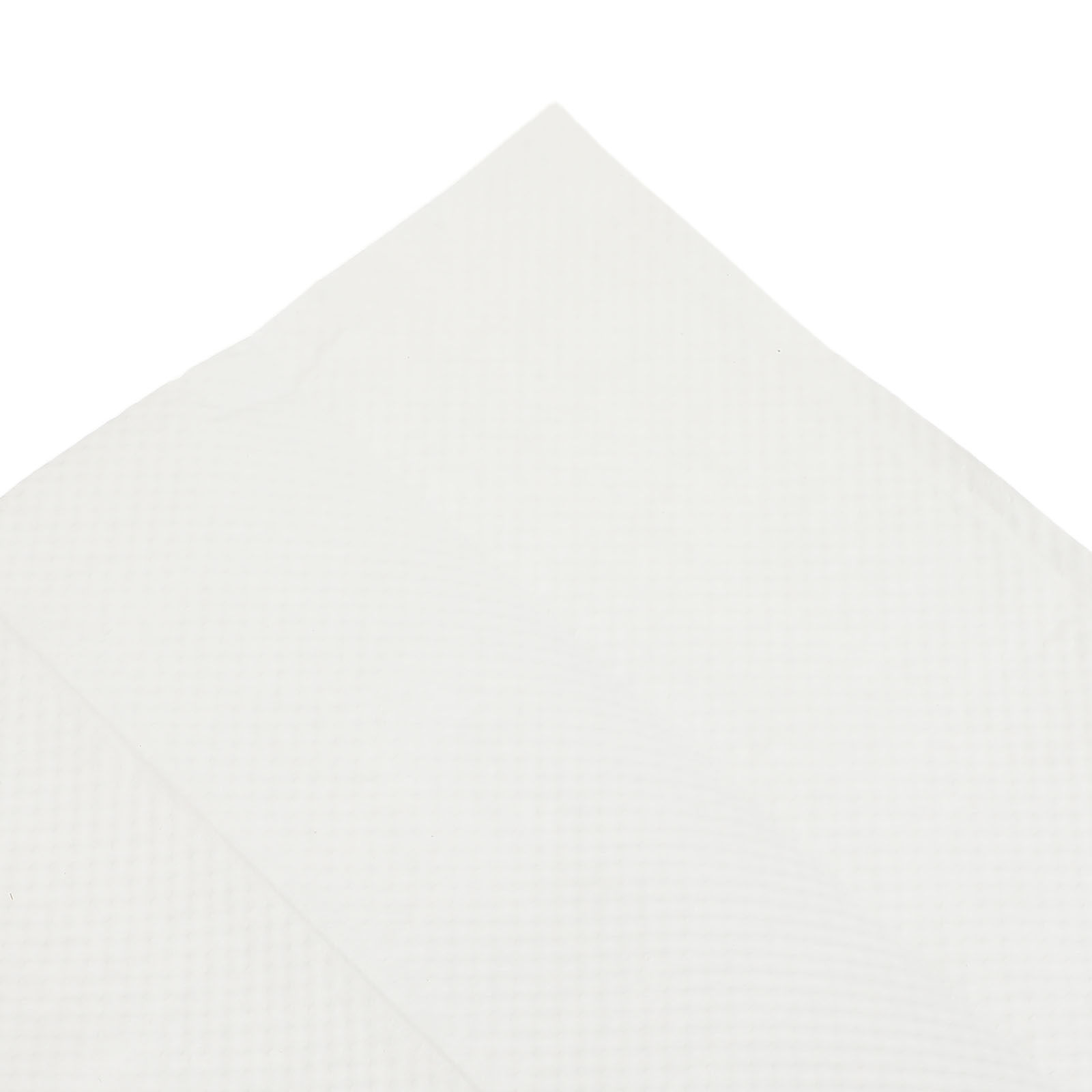 Rollo de Toallas de Papel de P - Home Office Kitchen reseña y precio